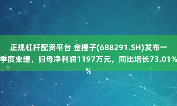 正规杠杆配资平台 金橙子(688291.SH)发布一季度业绩，归母净利润1197万元，同比增长73.01%