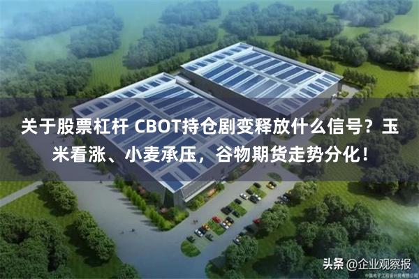 关于股票杠杆 CBOT持仓剧变释放什么信号？玉米看涨、小麦承压，谷物期货走势分化！