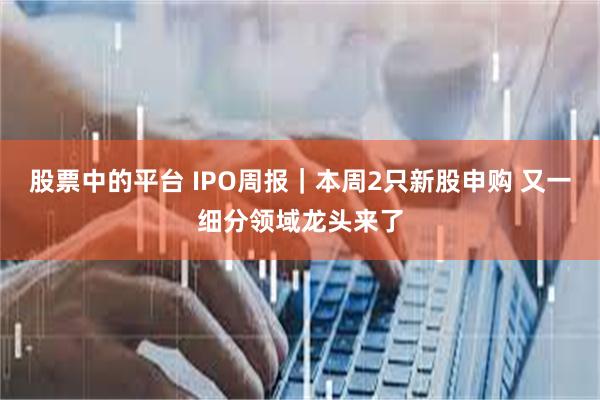 股票中的平台 IPO周报｜本周2只新股申购 又一细分领域龙头来了