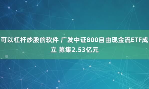 可以杠杆炒股的软件 广发中证800自由现金流ETF成立 募集2.53亿元