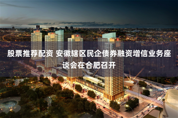 股票推荐配资 安徽辖区民企债券融资增信业务座谈会在合肥召开