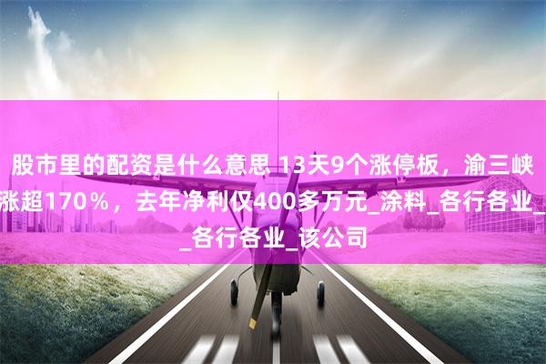 股市里的配资是什么意思 13天9个涨停板，渝三峡A股价涨超170％，去年净利仅400多万元_涂料_各行各业_该公司