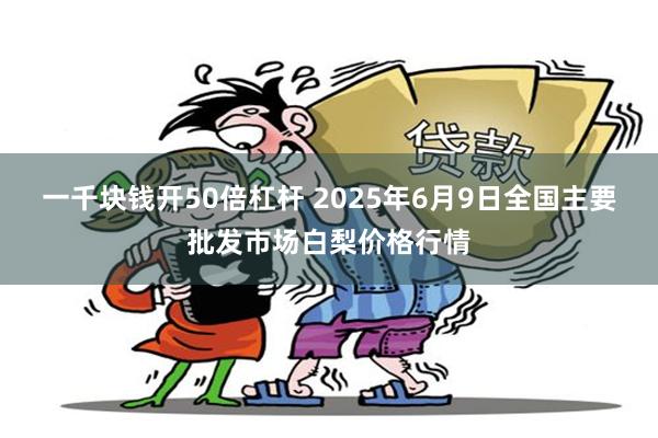 一千块钱开50倍杠杆 2025年6月9日全国主要批发市场白梨价格行情
